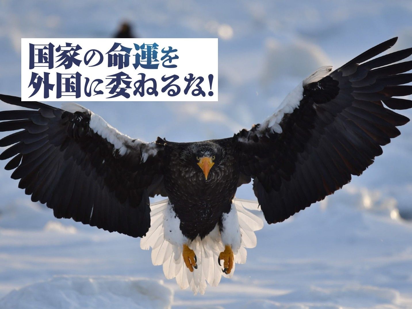 財務省との戦いにひるんで国防再建のチャンスを失うな!