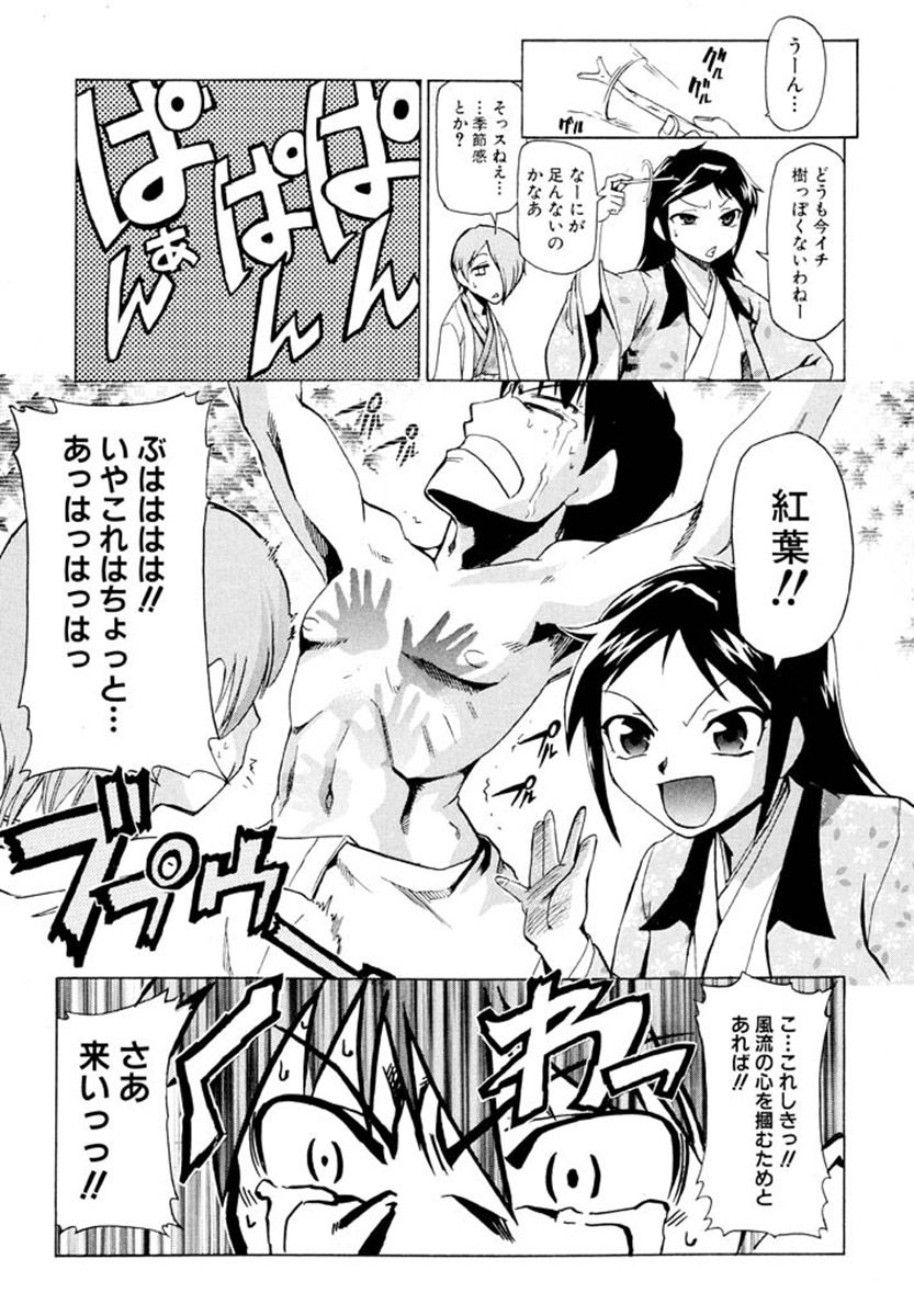 二段 曲げてみよ折れぬ曲がらぬ唐変木 14ページ目