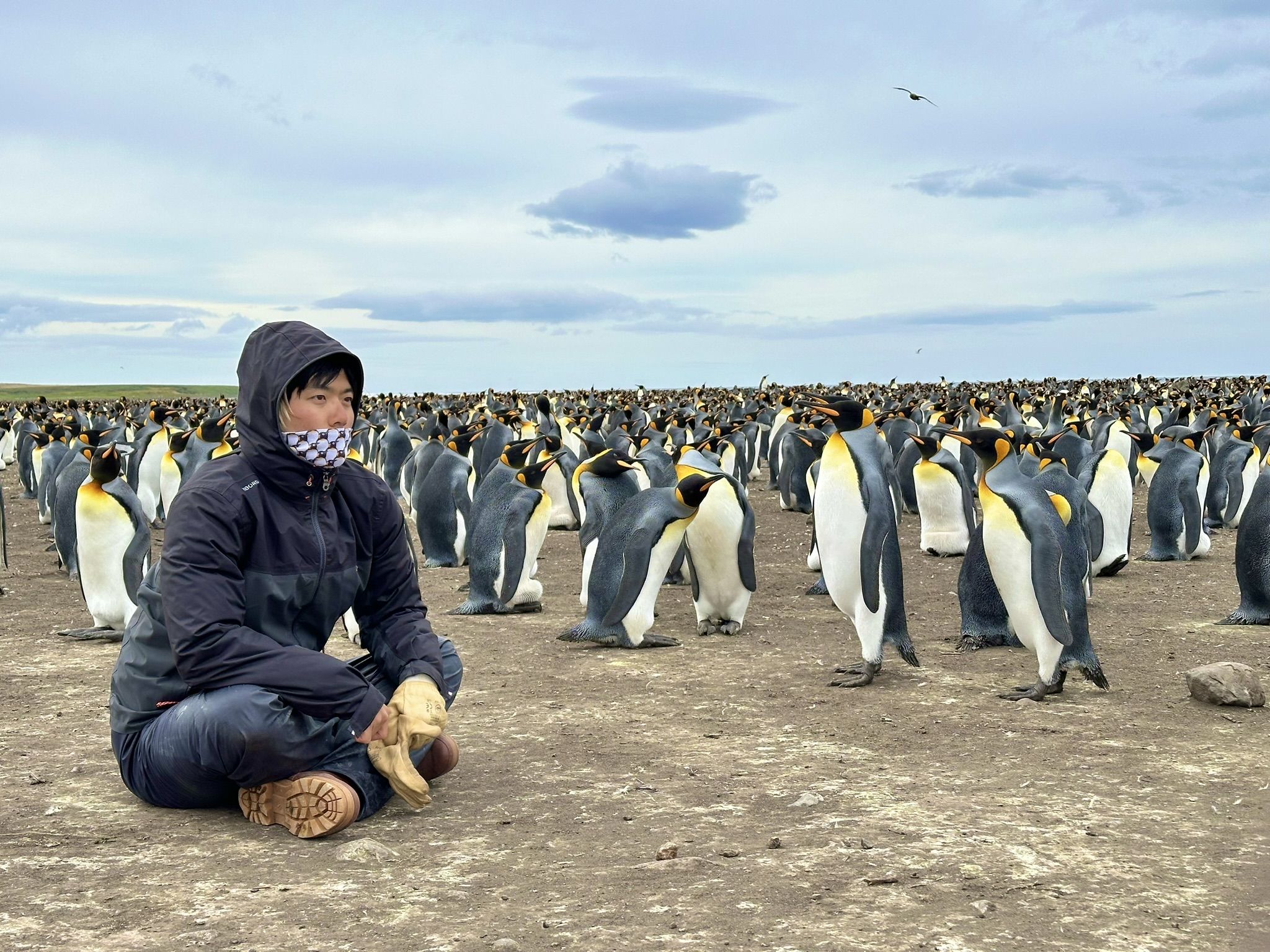 数十万羽のペンギンから14羽を探せ! 海鳥研究者が亜南極で挑んだ激むずミッション