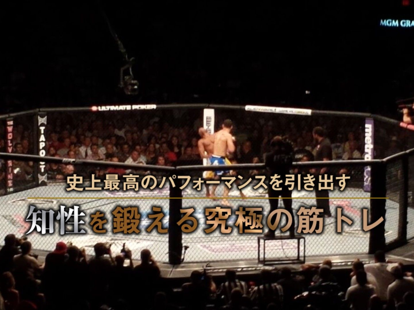 トランプも称賛! UFC王者マックス・ホロウェイの筋トレ術