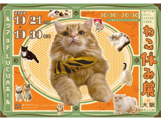 大阪で1年ぶりの開催となる「ねこ休み展」は、かわいいハロウィン仕様!