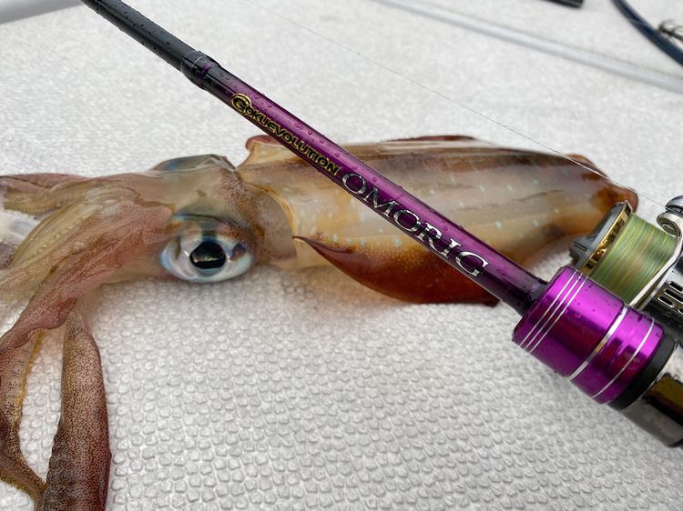 モンスター級のアオリイカを求めて沖縄遠征 吉野七宝実の 今日は気ままなプラ釣り ニフティニュース