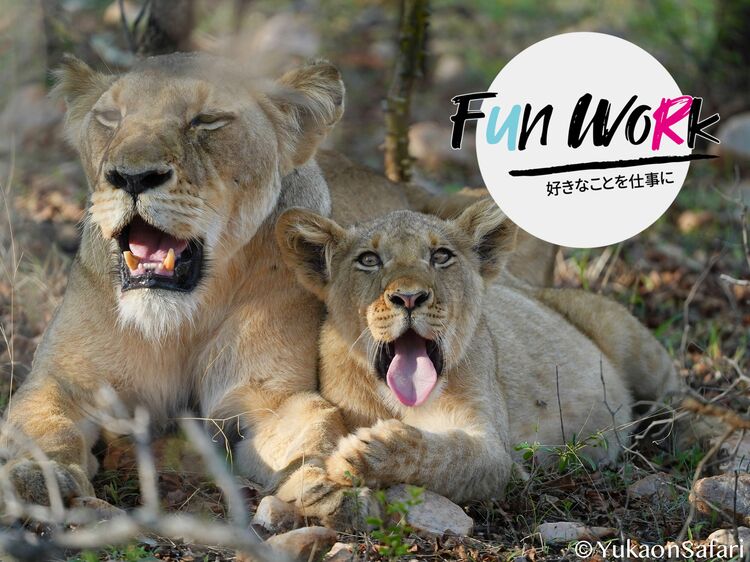 唸り声を上げるライオンと対面したとき サファリガイドがすべきこととは Fun Work 好きなことを仕事に 3 3 Wani Books Newscrunch ニュースクランチ