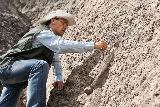 化石を見つけたいなら地層がむき出しの「崖」を探そう