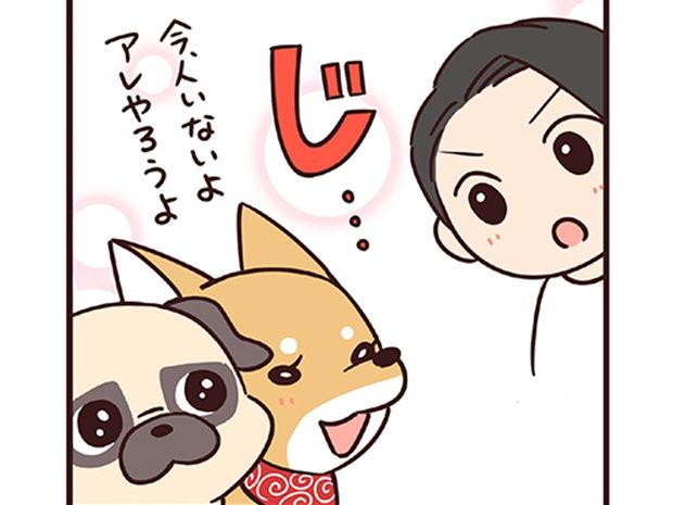 ラルとアキ ドMパグと女王柴犬の愉快な主従関係 第58話