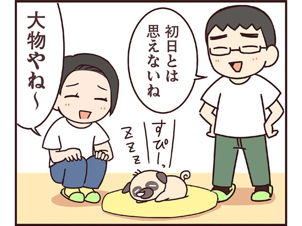 ラルとアキ ドMパグと女王柴犬の愉快な主従関係 第11話