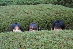 青春高校３年Ｃ組スペシャルインタビュー(卒業編)