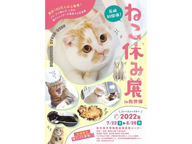 “ねこまみれ”の癒し空間! 大人気「ねこ休み展」が7月22日から長崎で初開催!