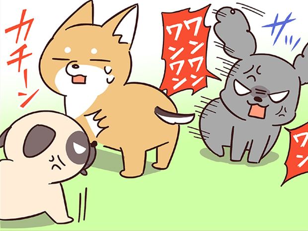 ラルとアキ ドMパグと女王柴犬の愉快な主従関係 第41話