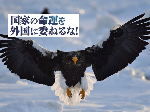 現行憲法では、ミサイルは防げない