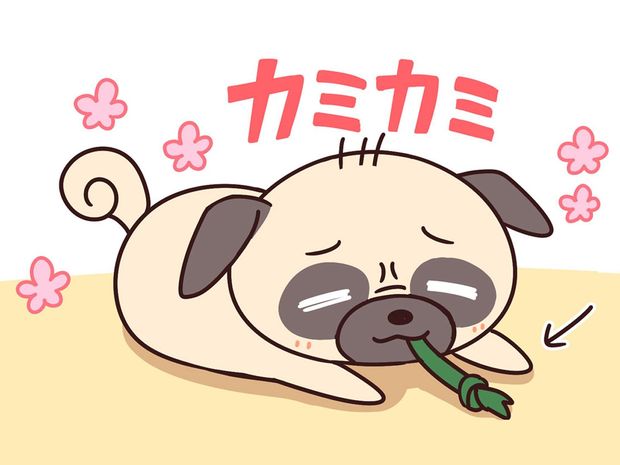 ラルとアキ ドMパグと女王柴犬の愉快な主従関係 第36話