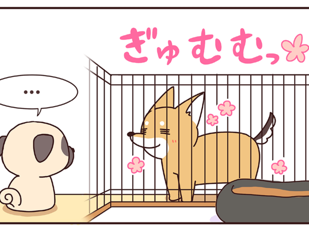 ラルとアキ ドMパグと女王柴犬の愉快な主従関係 第38話