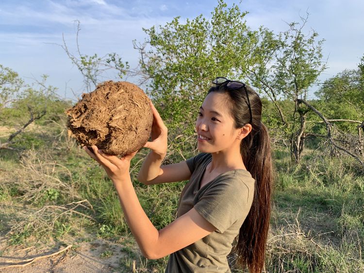 糞から動物探索 怒ったカバ突進 南アフリカのサファリガイド太田ゆかの刺激的な日常 Fun Work 好きなことを仕事に Wani Books Newscrunch ニュースクランチ