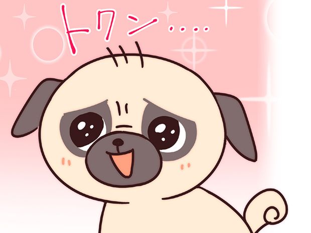 ラルとアキ ドMパグと女王柴犬の愉快な主従関係 第23話