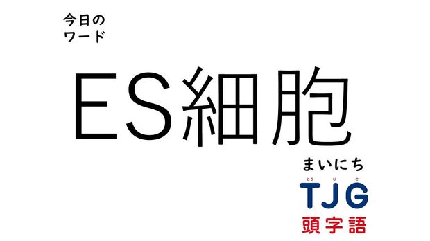 3月28日のワード:ES細胞(イーエスさいぼう)