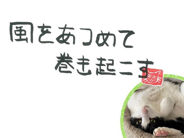風をあつめて、巻き起こす 第30回 風の桜の木の下で