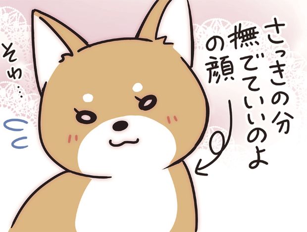 ラルとアキ ドMパグと女王柴犬の愉快な主従関係 第20話