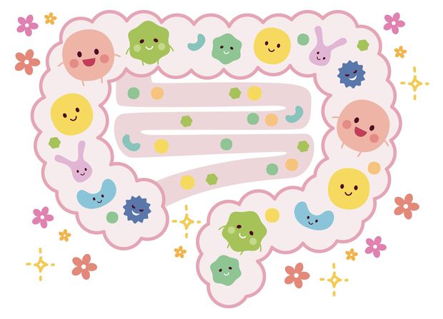 太りにくい人の秘密は「腸内フローラ」にあった!