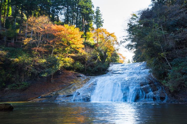 養老渓谷 東京から 半日で帰って来られる おすすめスポット Wani Books Newscrunch ニュースクランチ