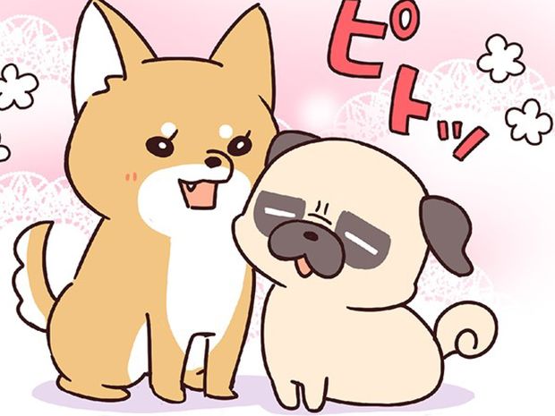 ラルとアキ ドMパグと女王柴犬の愉快な主従関係 第17話