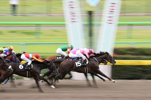 競馬や株にも当てはまる! 損をしないための【行動心理】豆知識