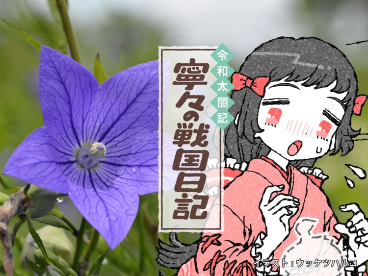 誰が信長を殺したのか?「本能寺の変」黒幕説の真偽