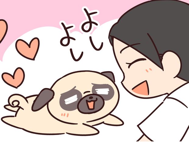 ラルとアキ ドMパグと女王柴犬の愉快な主従関係 第30話