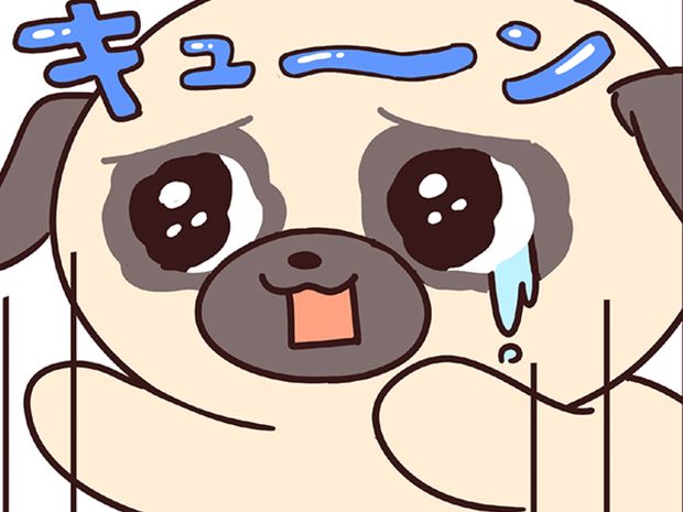 ラルとアキ ドMパグと女王柴犬の愉快な主従関係 第29話