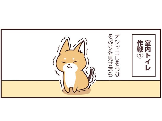 ラルとアキ ドMパグと女王柴犬の愉快な主従関係 第43話