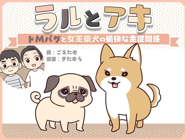 ラルとアキ ドMパグと女王柴犬の愉快な主従関係