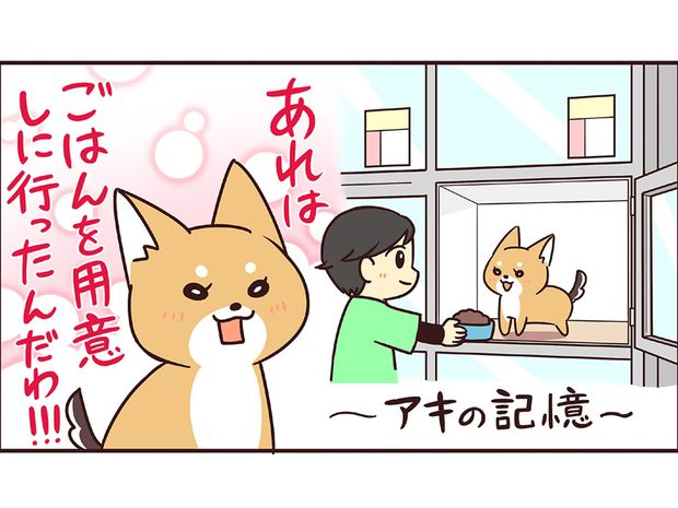 ラルとアキ ドMパグと女王柴犬の愉快な主従関係 第46話