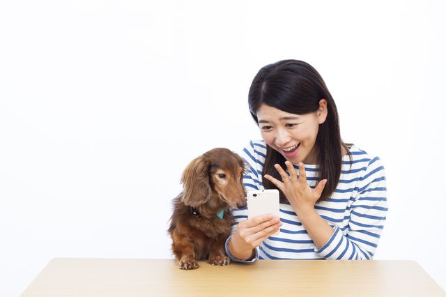 犬の常識 がひっくり返った 科学的研究が明らかにした意外な真実 ニフティニュース