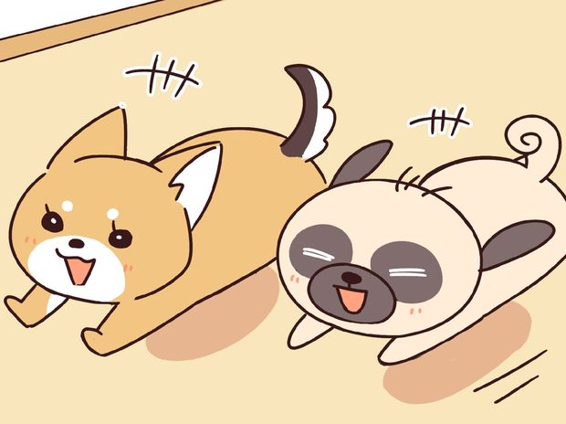 ラルとアキ ドMパグと女王柴犬の愉快な主従関係 第24話