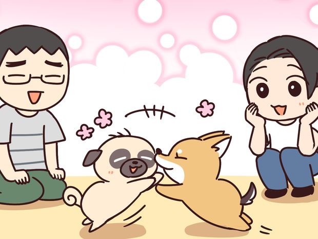 ラルとアキ ドMパグと女王柴犬の愉快な主従関係 第31話