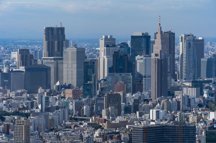 大都会 新宿に異変 高層ビル群を飛びまわる怪鳥の正体とは ニフティニュース