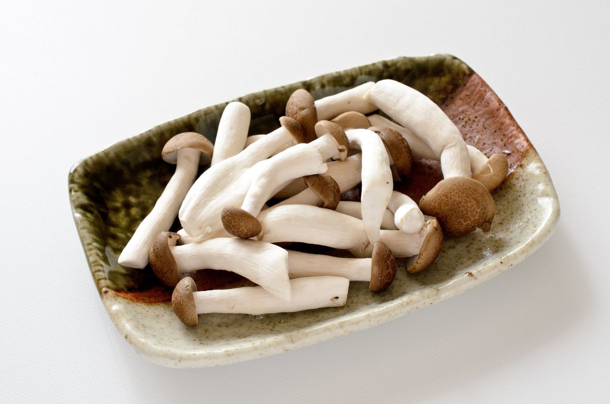 飲み過ぎたら しじみ ではなく シメジの味噌汁が良い理由 Wani Books Newscrunch ニュースクランチ