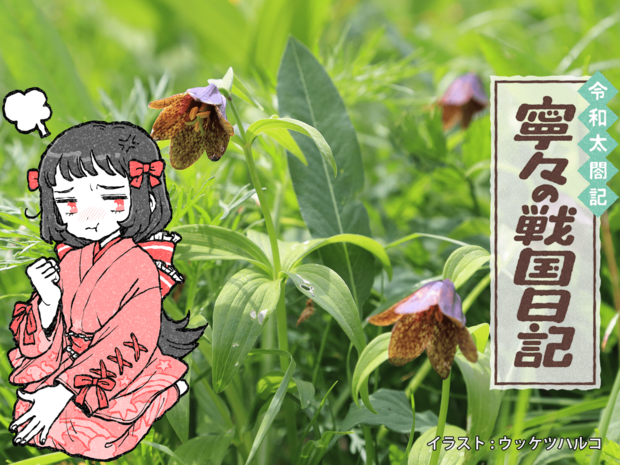 寧々と茶々、嫁バトルのきっかけは「黒百合」にあり?