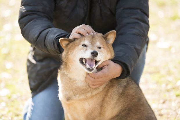 犬にウケる飼い主・ウケない飼い主を分けるたった1つのこと