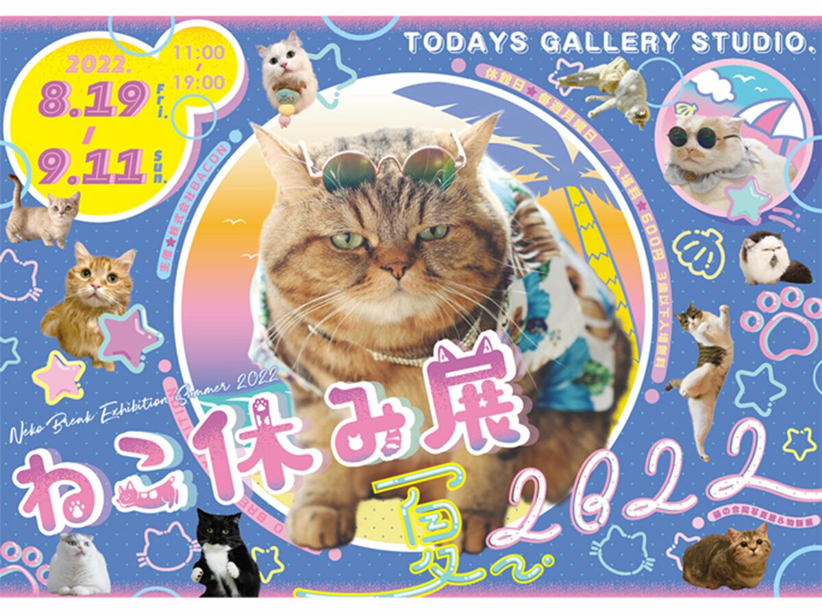 夏の思い出に！『ねこ休み展』夏の本祭が8月19日から東京で開催