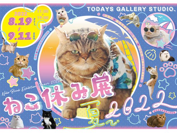 夏の思い出に!『ねこ休み展』夏の本祭が8月19日から東京で開催!!