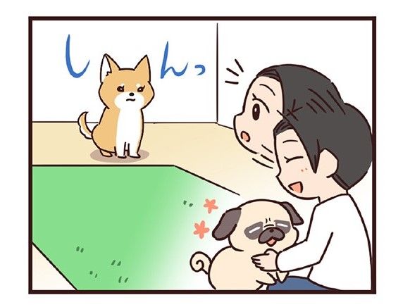 ラルとアキ ドMパグと女王柴犬の愉快な主従関係 第2話