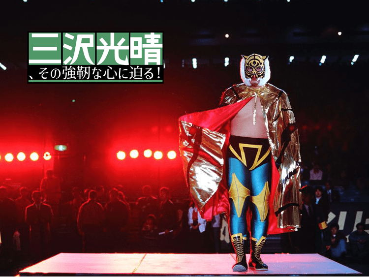 日本安い ２代目タイガーマスク プロレスマスク 格闘技/プロレス