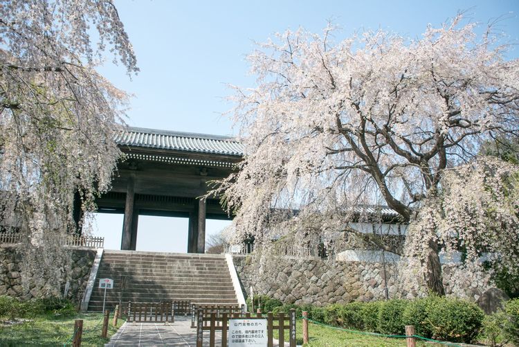 ７月11日の文化 世界史に残る映画 ３ まいにち世界の文化史 Wani Books Newscrunch ニュースクランチ