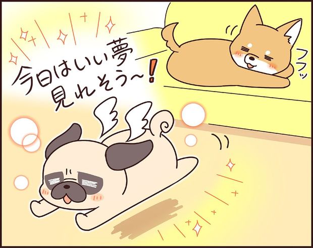 ラルとアキ ドMパグと女王柴犬の愉快な主従関係 第9話