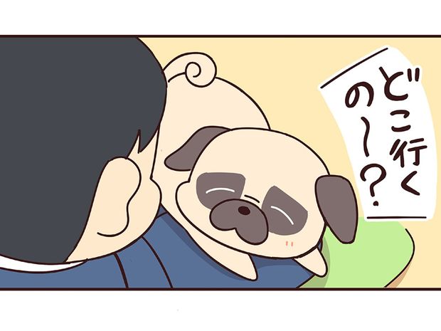 ラルとアキ ドMパグと女王柴犬の愉快な主従関係 第50話
