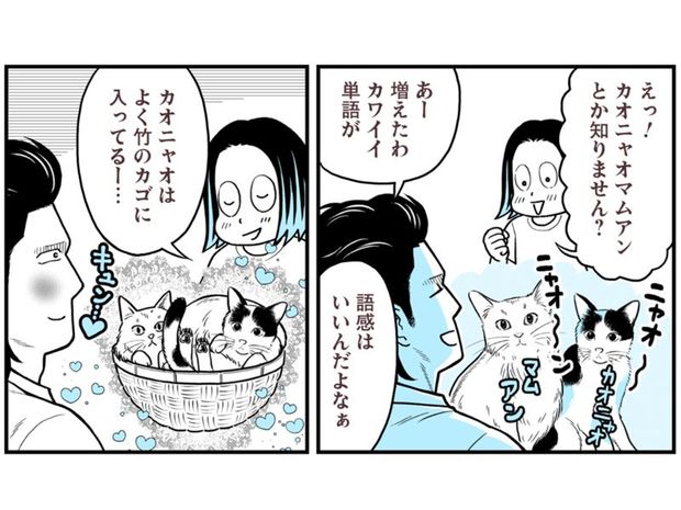 タイの日常~出張版7~ 噛むほど楽しい新食感! タイのもち米「カオニャオ」で作った絶品チャーハン