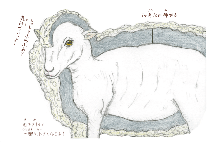 羊はなぜフワフワなの 動物にまつわる素朴な疑問３選 2 2 Wani Books Newscrunch ニュースクランチ