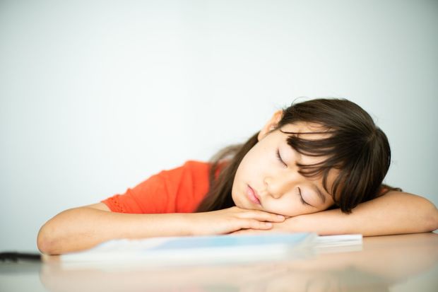 「漢字の練習をしてください…」 動物行動学研究家の小学生時代