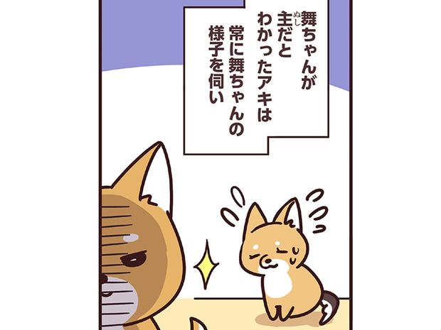 ラルとアキ ドMパグと女王柴犬の愉快な主従関係 第61話