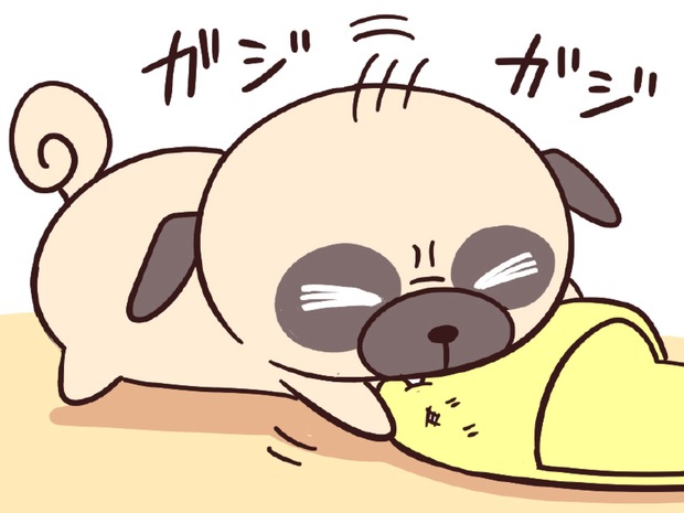 ラルとアキ ドMパグと女王柴犬の愉快な主従関係 第13話
